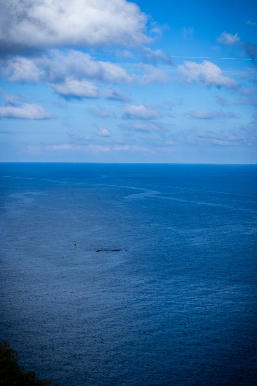 Why The Sky is&nbsp;Blue