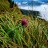 I’ve Become a Political Poet – Bringing Mae Flowers Avatar